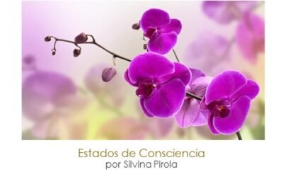 Despierta los Tres Estados de Consciencia