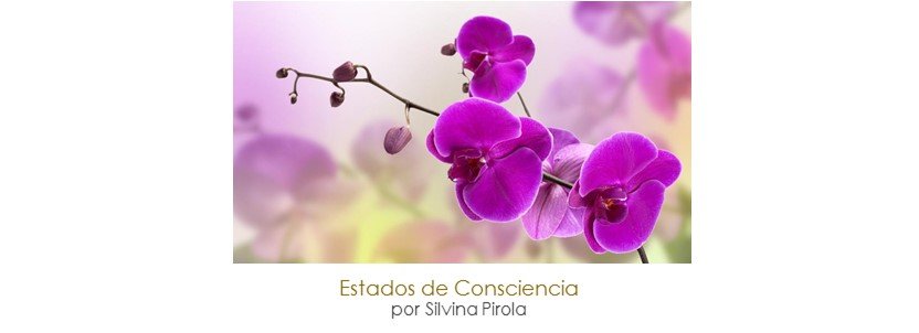 Despierta los tres estados de consciencia