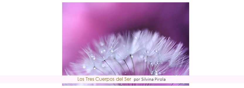Experimenta los Tres Cuerpos del Ser